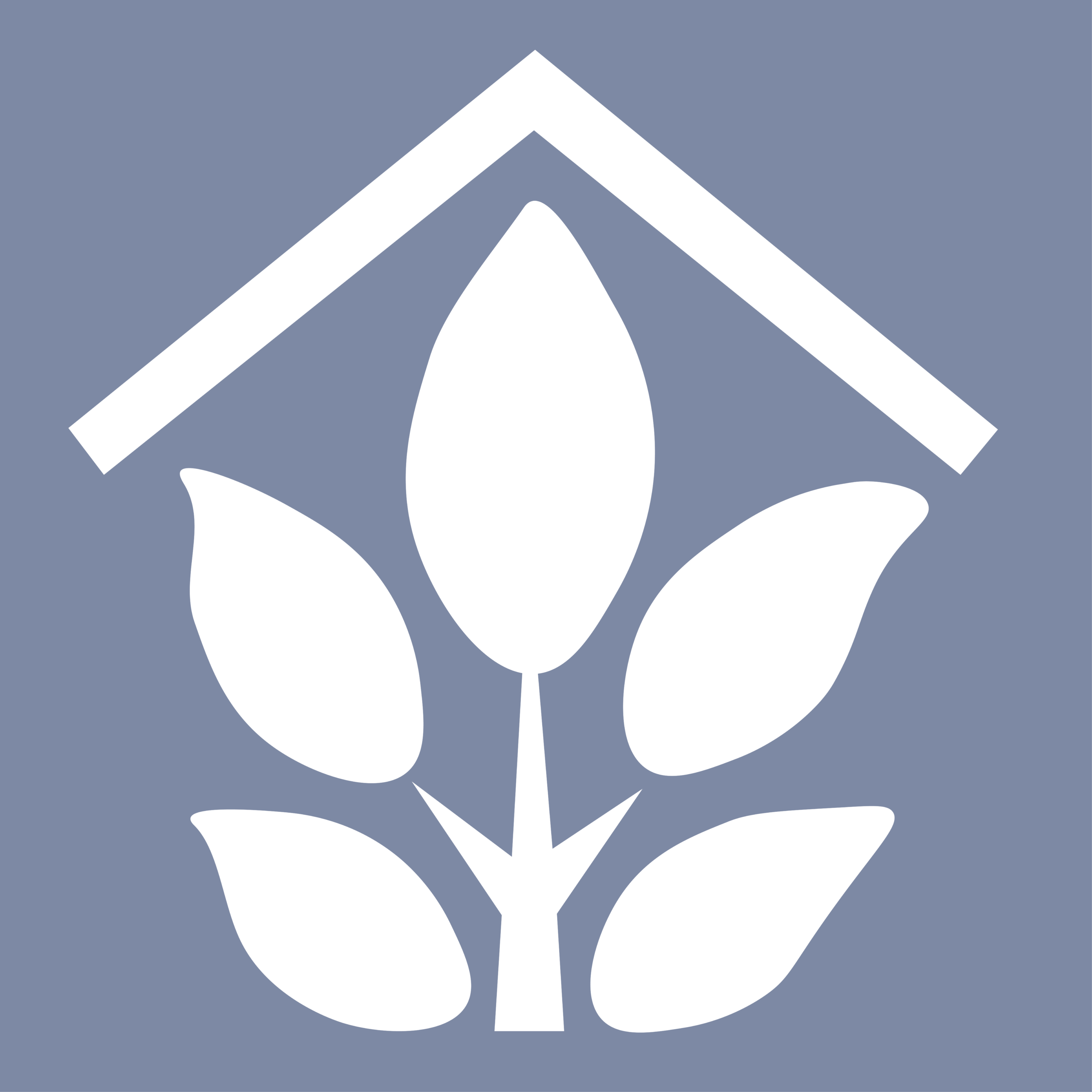 Osiedle Migdałowe  Konstantynów Łódzki